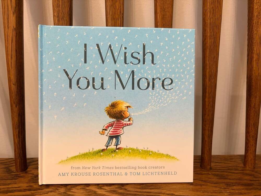 Chronicle Books I Wish You More Hardcover Children's Book